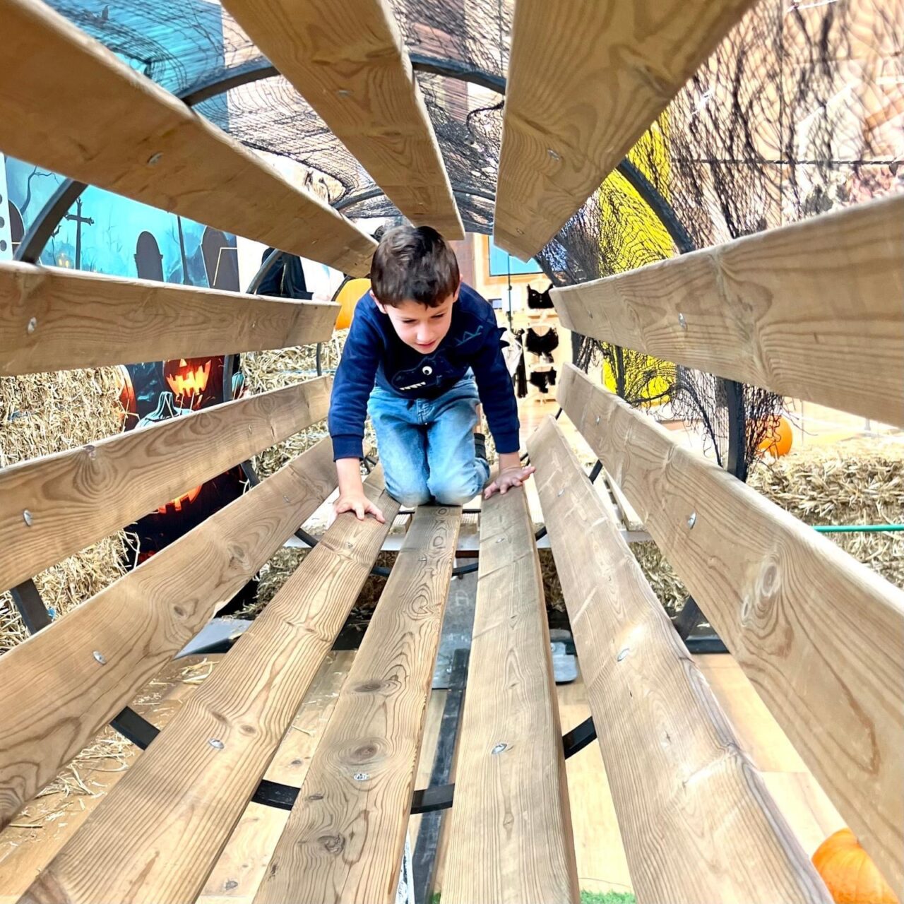 parcours aventure, accrobranche pour enfants