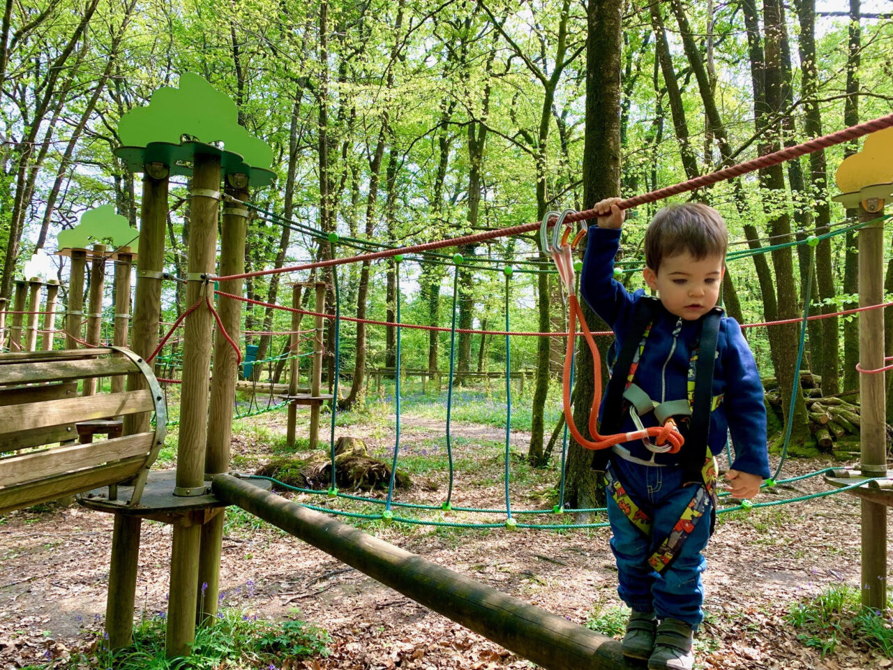 parcours ouistiti, accrobranche pour jeunes enfants