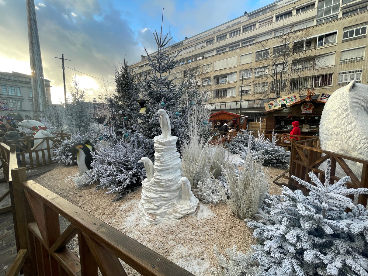 décor de banquise avec sapins et pingouins
