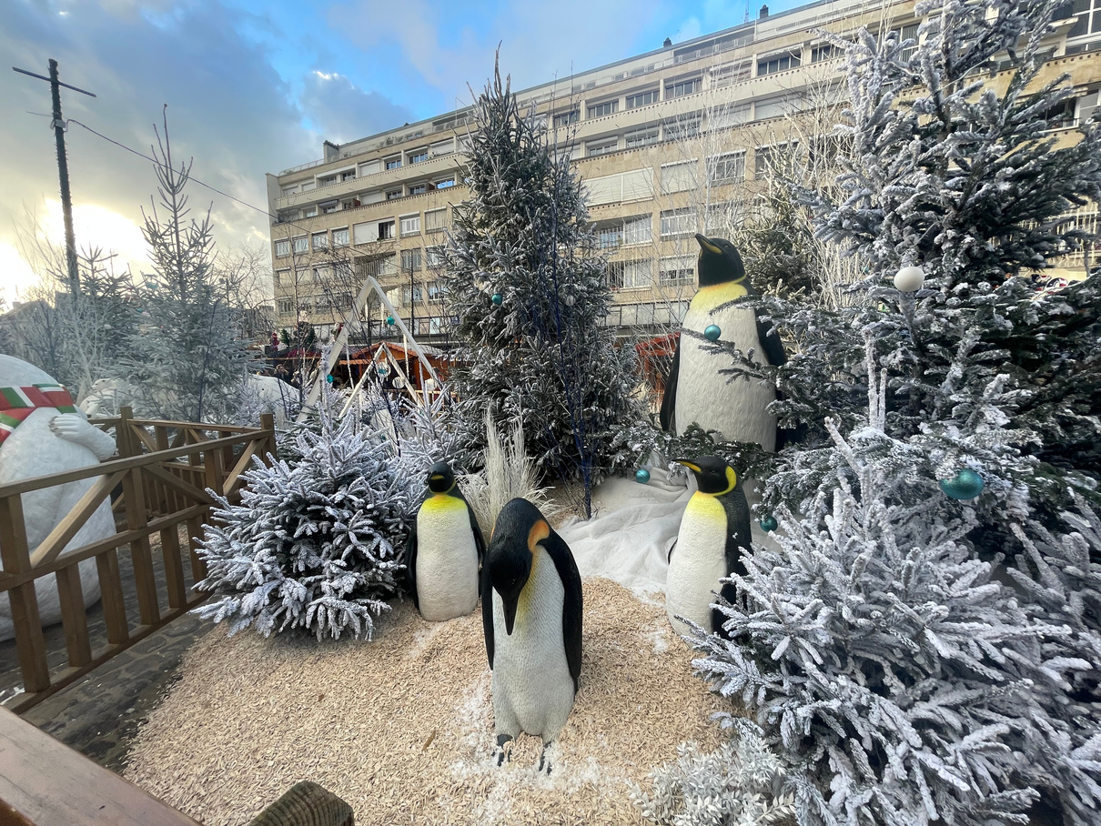 décor de banquise avec sapins et pingouins