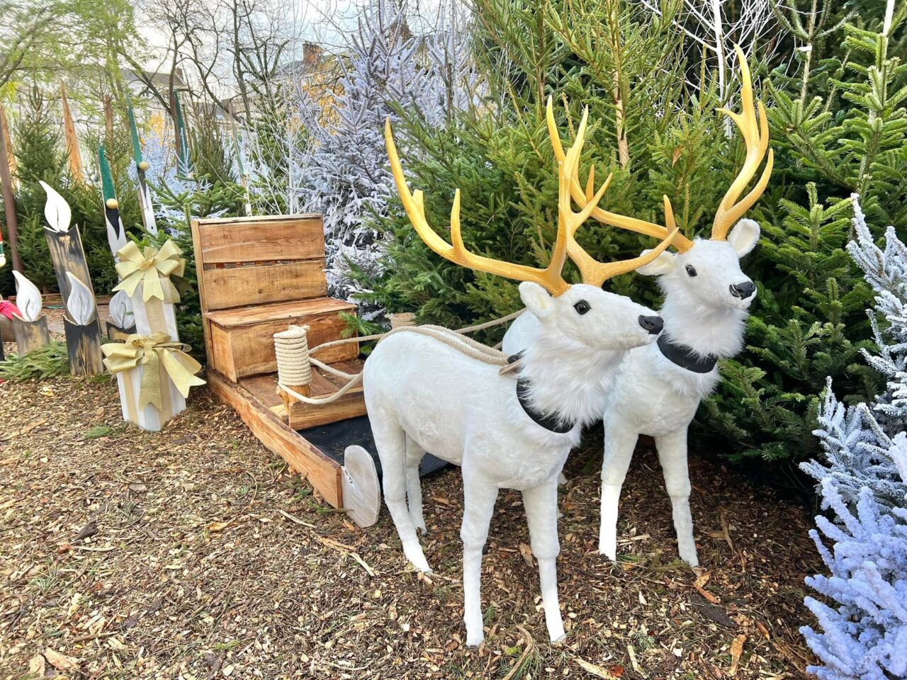 décor avec des rennes blancs tirant un traineau