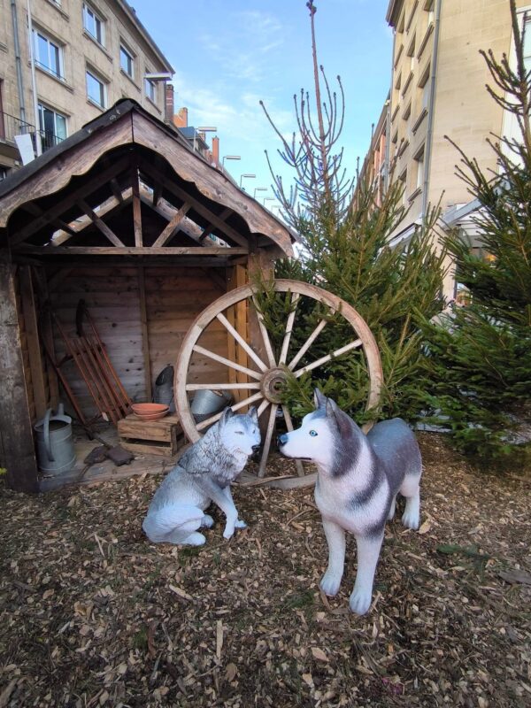 décor avec des loups et cabane en bois
