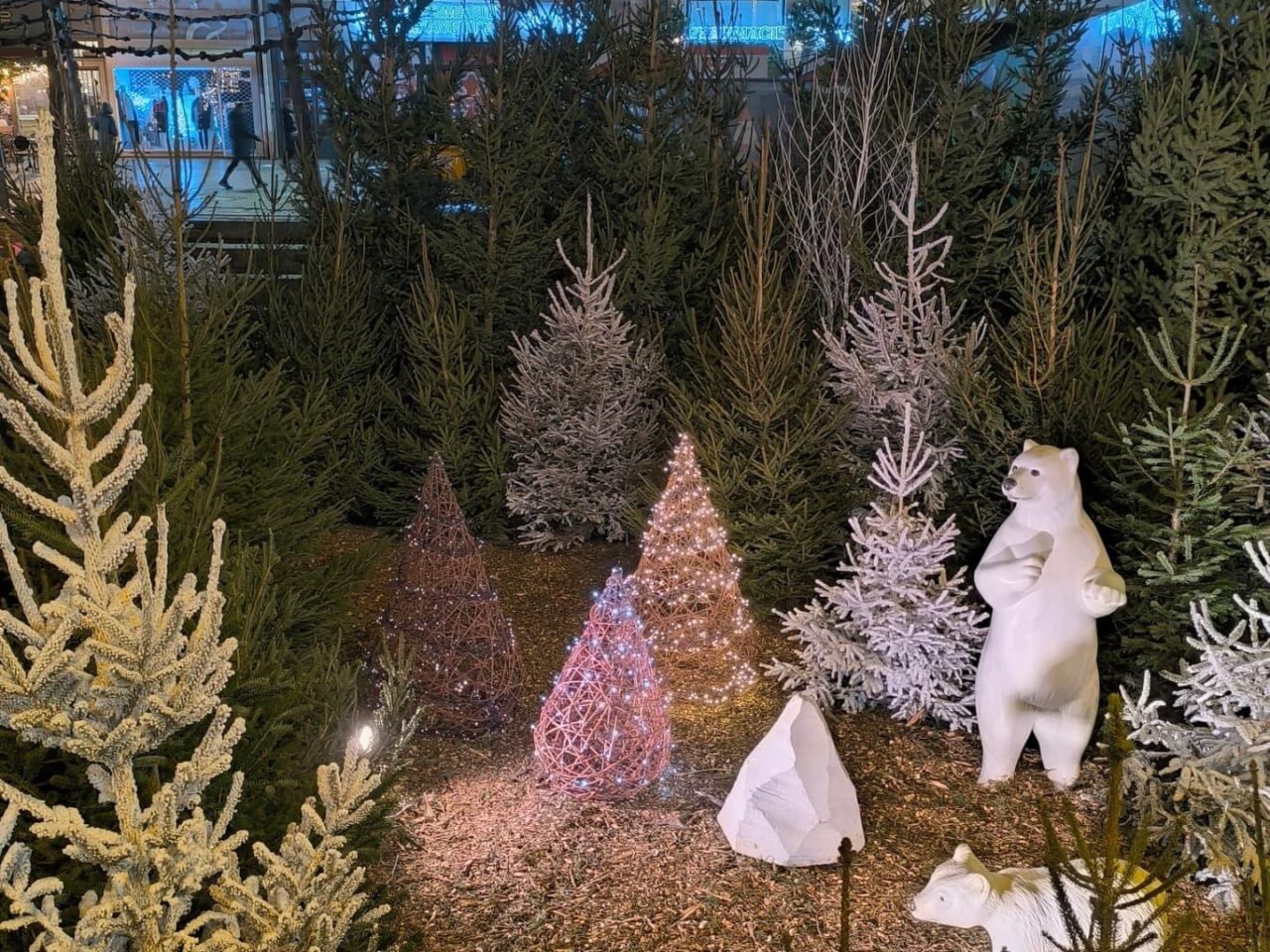 décor avec sapins et ours blanc