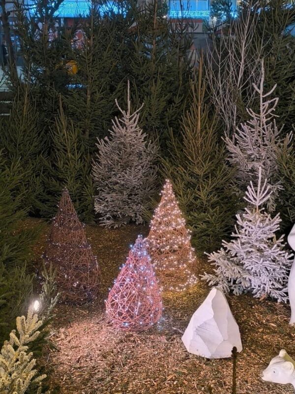 décor avec sapins et ours blanc