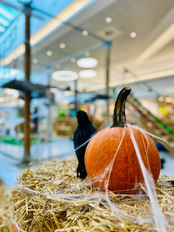 décor Halloween avec courges