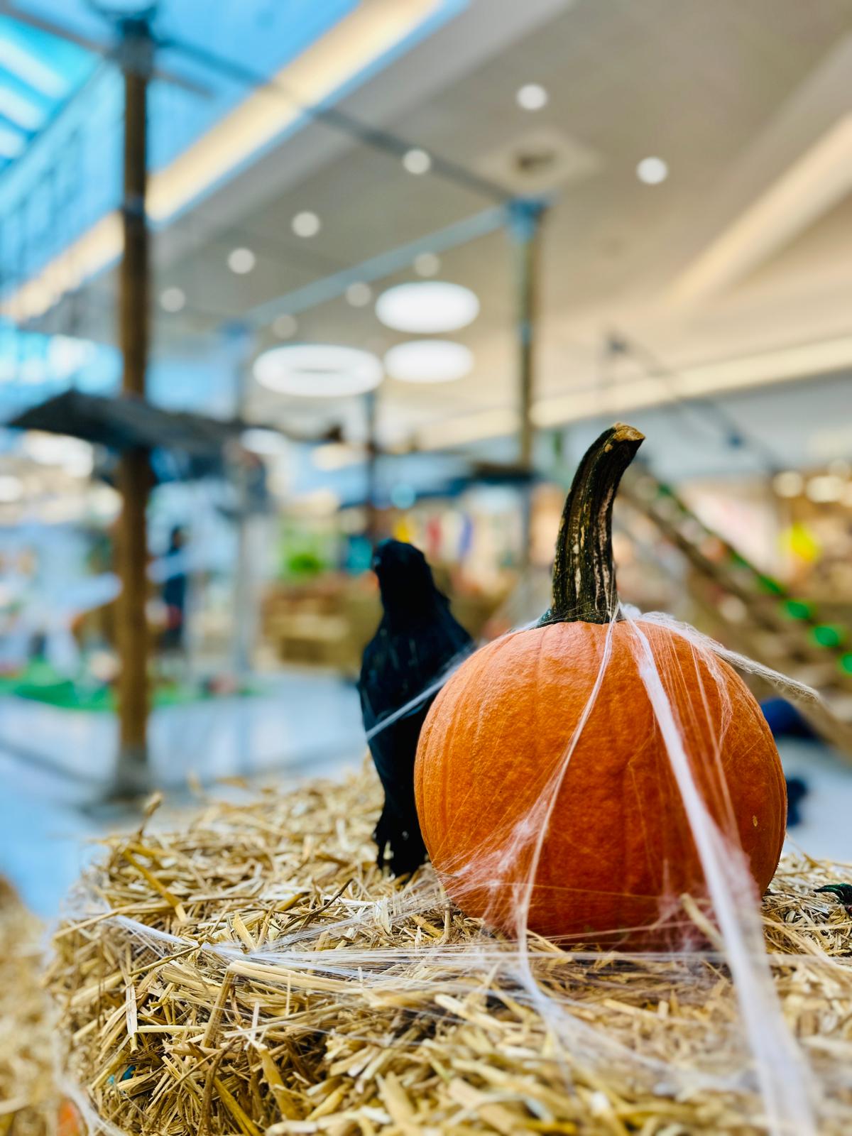 décor Halloween avec courges