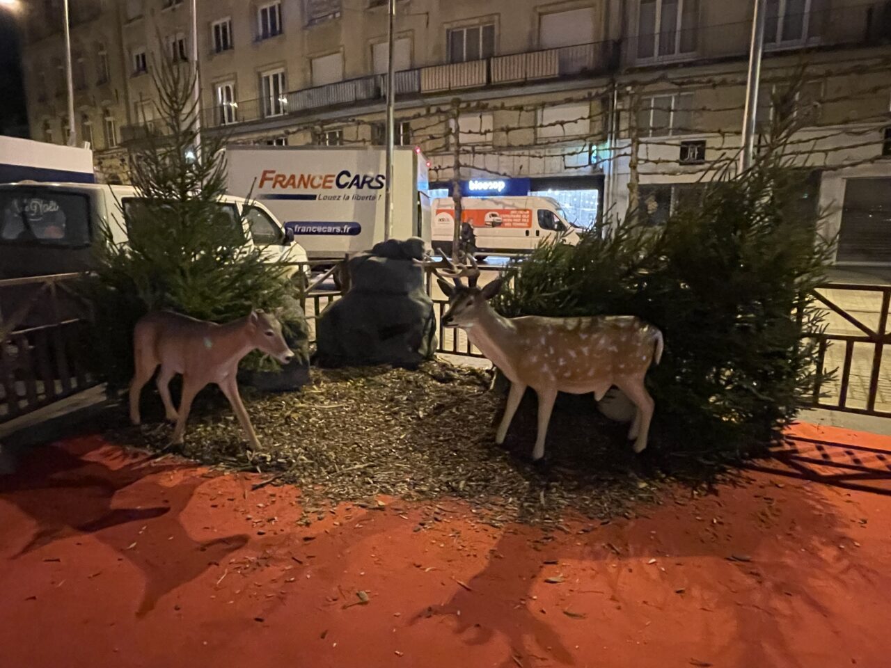 Décors avec chamois
