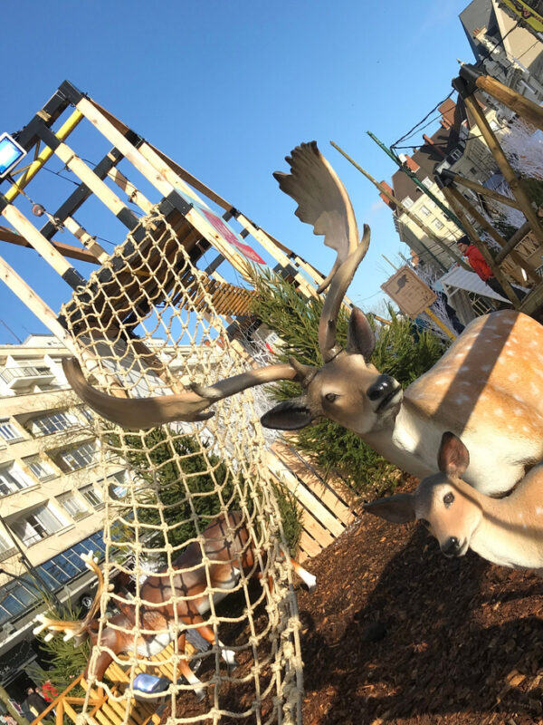 décor avec des cerfs autour d'un parcours aventure