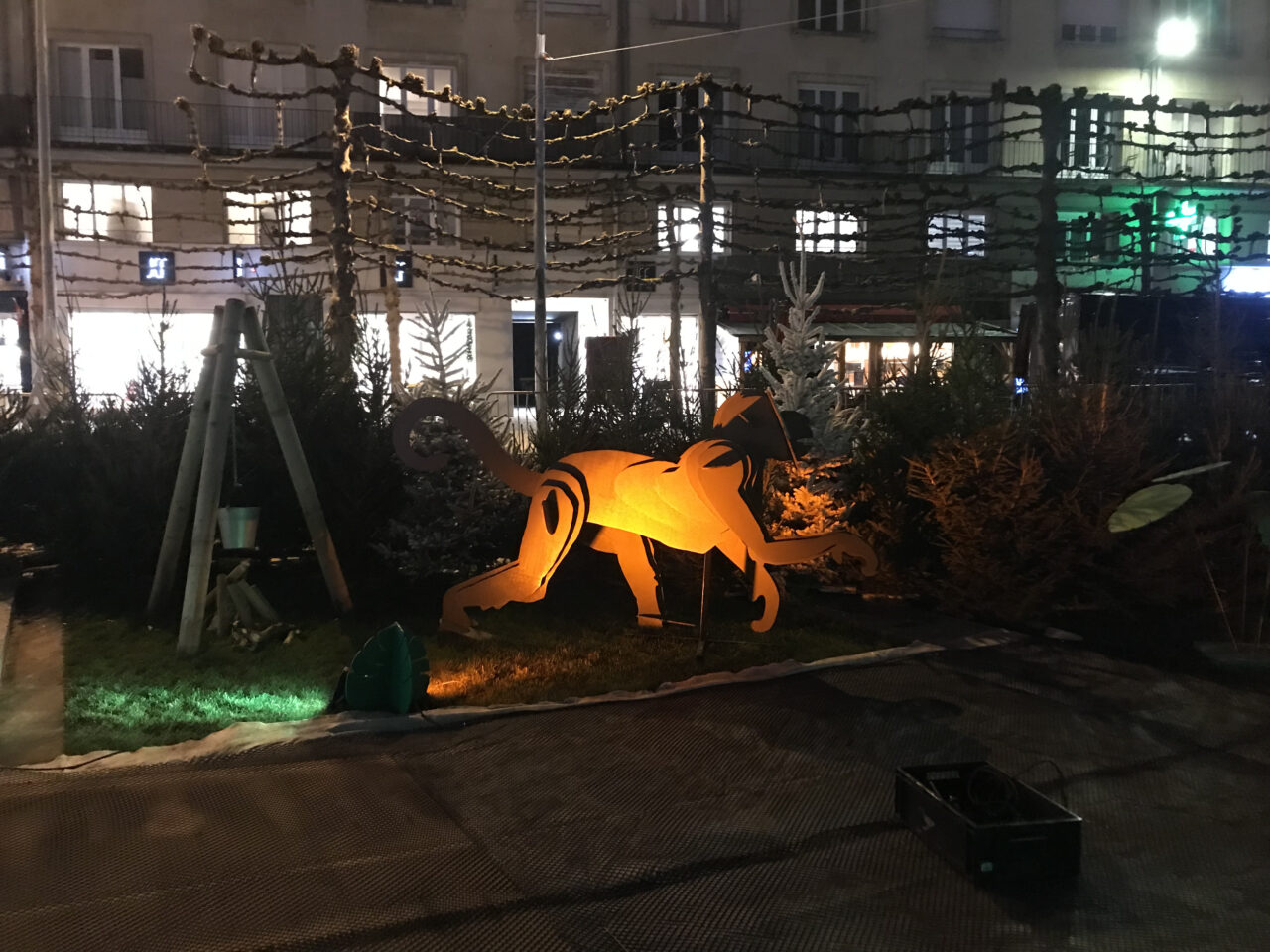 singe éclaireur illuminé