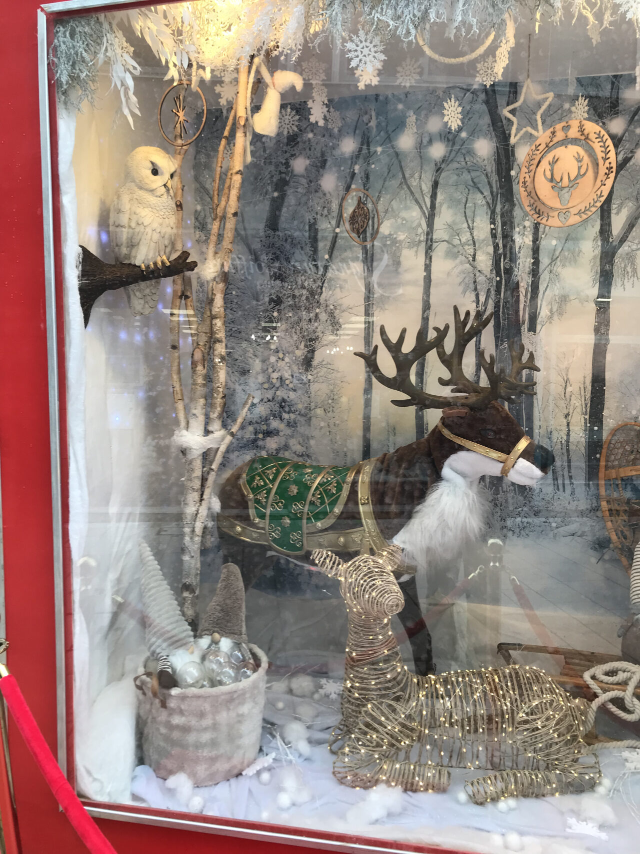 vitrine animée la forêt enchantée