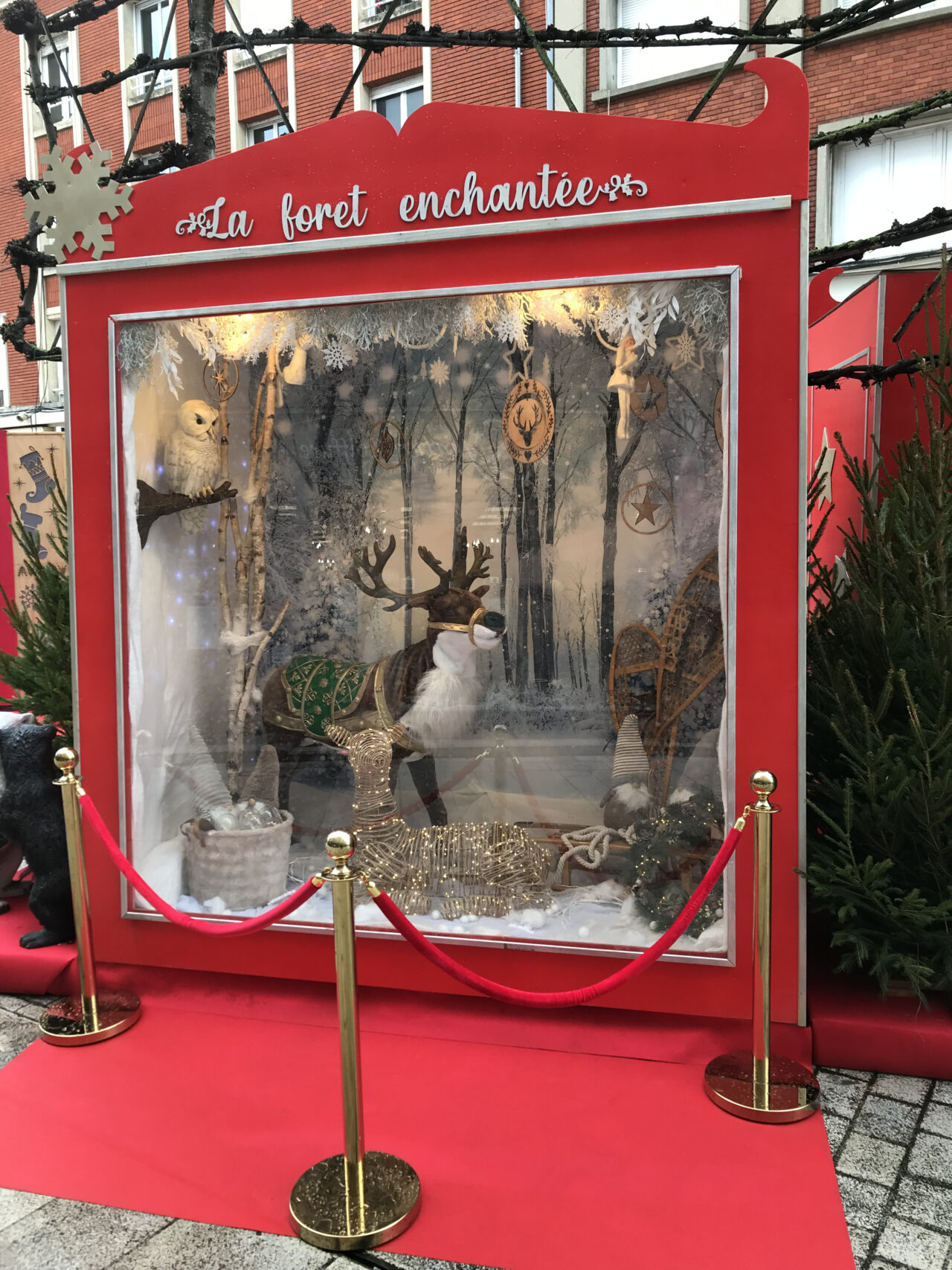 vitrine animée la forêt enchantée